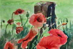 klaprozen-32x23-cm
